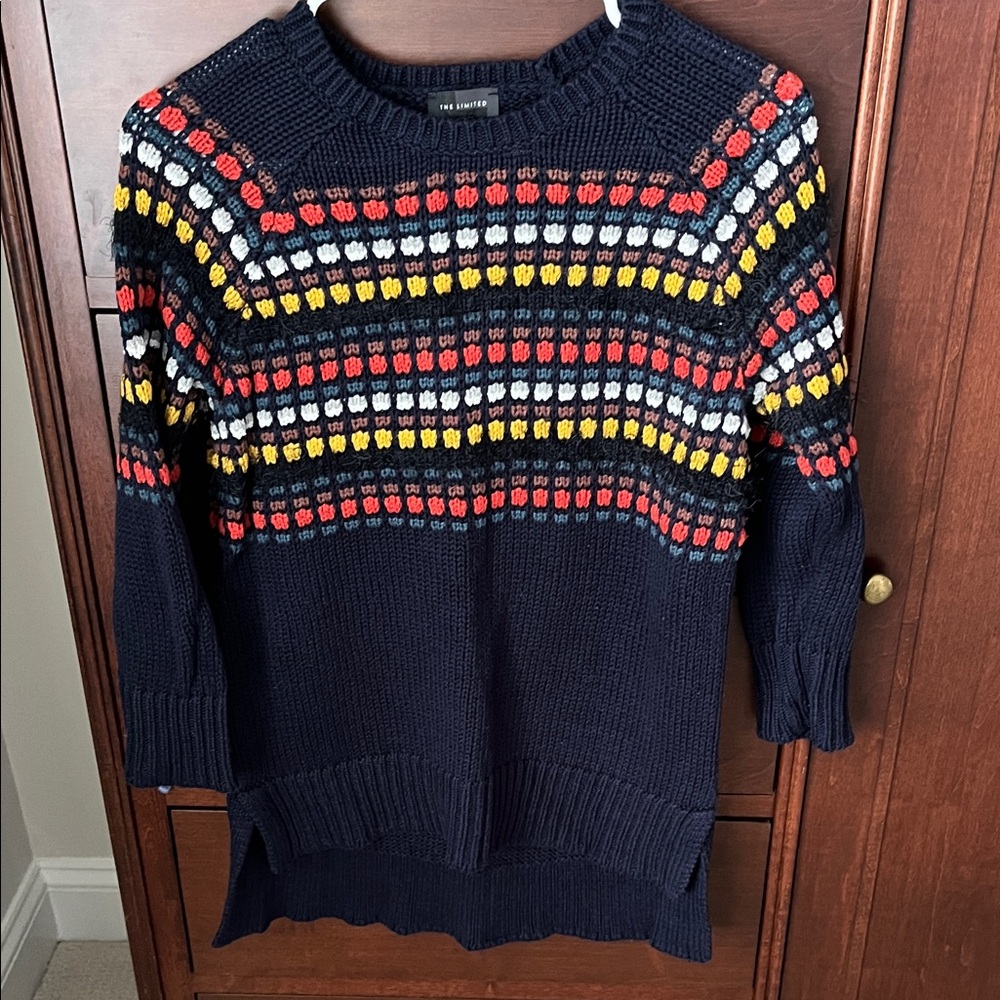 The Limited Navy Sweater with Colorful Stripes